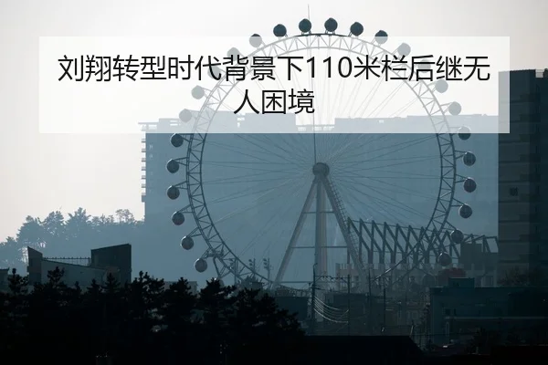 刘翔转型时代背景下110米栏后继无人困境