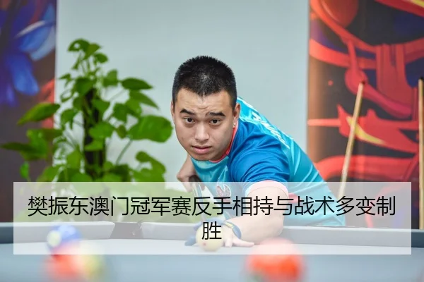 樊振东澳门冠军赛反手相持与战术多变制胜