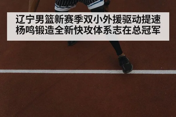 辽宁男篮新赛季双小外援驱动提速 杨鸣锻造全新快攻体系志在总冠军